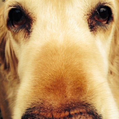 Joshua Gelman - Twitter Profile Picture of Joshua Gelman (@gelman_3) on Twitter