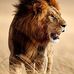Profile Picture of Marc Stiller (@marc.stiller.165) on Facebook