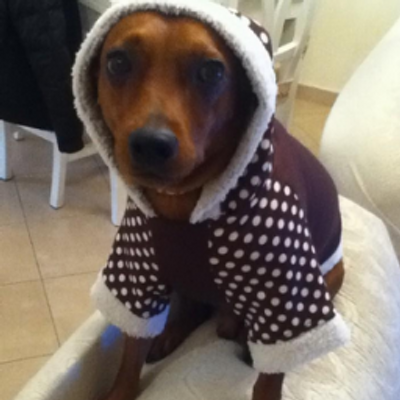 Peter Bianchi - Twitter Profile Picture of Peter Bianchi (@bianchi_peter) on Twitter