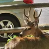 Profile Picture of Larry vance (@larryvance227) on Tiktok