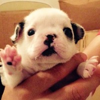 Profile Picture of Jacob Redden (@jacob-redden) on Quora