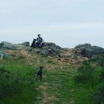 Profile Picture of Eric Weinstein (@ericsplosions) on Instagram