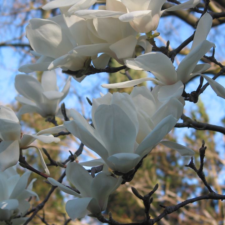 Profile Picture of Petew41133 (@eugenepeterwittko) on Tiktok