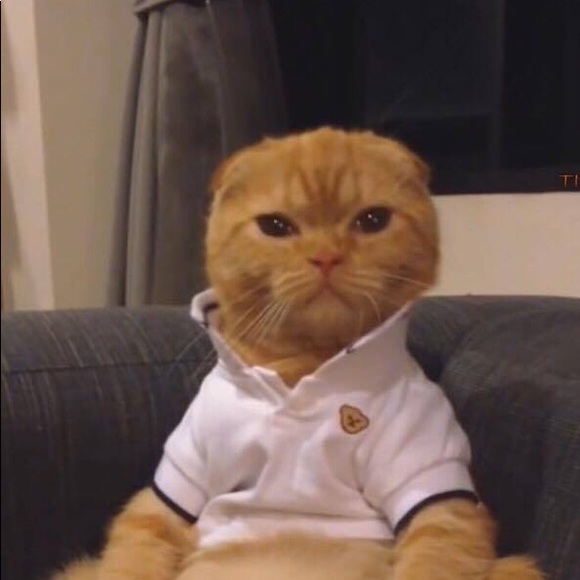 Profile Picture of Taryn Long (@tarynleaa1) on Poshmark