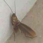 Profile Picture of Ethan McHenry (@classy.ethan) on Instagram