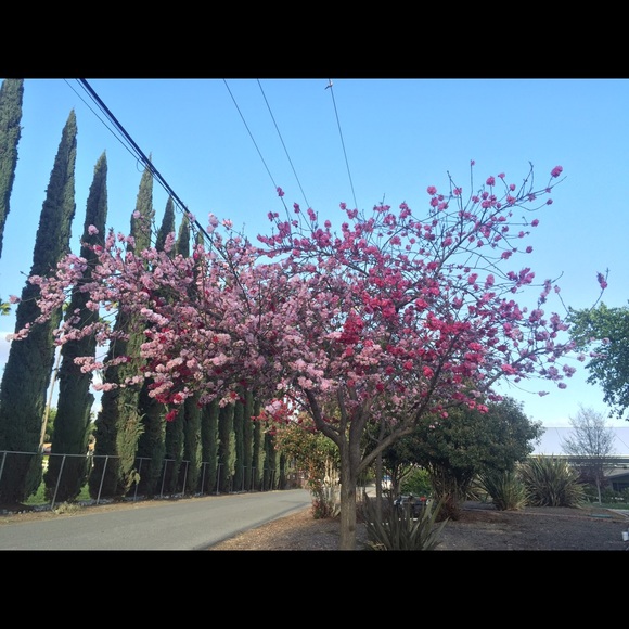 Afa Taban - Poshmark Profile Picture of Afa Taban (@afataban) on Poshmark