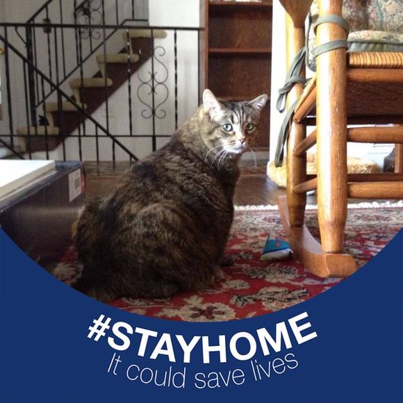 Profile Picture of Whitney Wojtkowski (@whitney29) on Poshmark