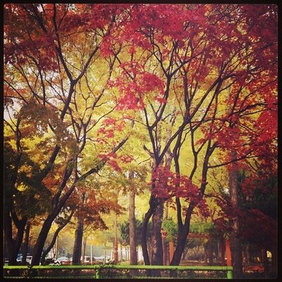 Profile Picture of Sirilak(joy) Yu.. (@joysijung) on Twitter