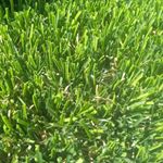 Daniel Valenzuela - Instagram Profile Picture of Daniel Valenzuela (@luis.greenland.supply) on Instagram