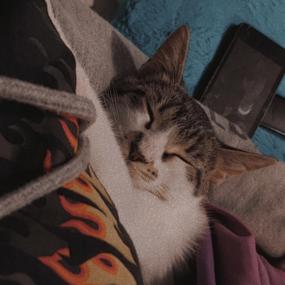 Profile Picture of Symarah Bentcik (@sbentcik05) on Poshmark