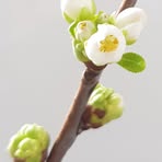 Profile Picture of Annette SchellSchmidt (@annette.schellschmidt) on Facebook