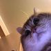 Profile Picture of Brian Hutchison (@brian.hutchison.338211) on Facebook