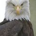 Profile Picture of Kevin Hively (@kevinhively) on Pinterest