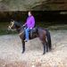 Profile Picture of Cathy Allen (@trailrider46) on Pinterest