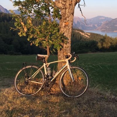 Profile Picture of Antonia Simpson (@SimpsonAntonia) on Twitter