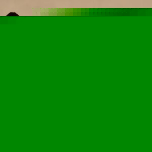 Profile Picture of Andreas Hofbauer (@381456833) on Myspace