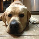 Profile Picture of Tatter (@lani_wright1109) on Instagram