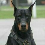 Profile Picture of omar alejandro murias sierra (@omaralejandromuri) on Instagram