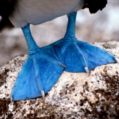 Steve Donaldson - Twitter Profile Picture of Steve Donaldson (@SportsMad) on Twitter