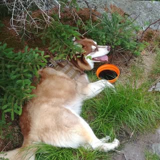 Profile Picture of Charles Baldwin (@baldwin.charles) on Instagram