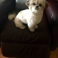 Profile Picture of Sean Beaulieu (@sean-beaulieu-5) on Quora