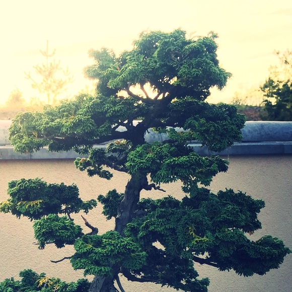 Blesie Beaumier - Poshmark Profile Picture of Blesie Beaumier (@beaumierfamily) on Poshmark