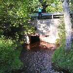 Profile Picture of mitchell biggs (@monkeyparkisons) on Instagram