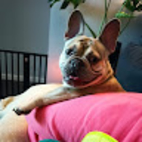 Profile Picture of Daniela Malinowski (@danielam81) on Poshmark