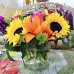 Profile Picture of Kim Zipperle (@kzipper51) on Instagram