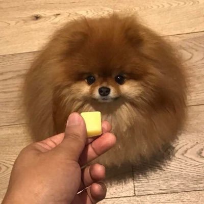 Profile Picture of Sonialarson♡ (@Sonialarson04) on Twitter