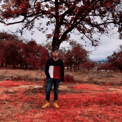 Profile Picture of Mike Zarate (@MikeZarateFlor1) on Twitter