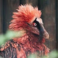 Profile Picture of Allison Kaiser (@allison-kaiser-11) on Quora