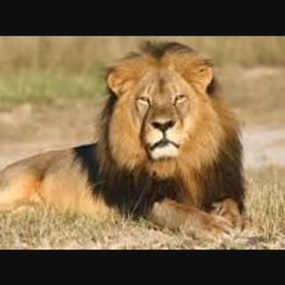Profile Picture of Ralph Samaha (@ralph.samaha.562) on Facebook