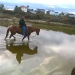 Profile Picture of Jared Pena (@jaredpena1995) on Instagram