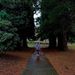 Profile Picture of Kyle Craven (@craven2791) on Pinterest