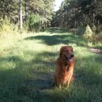 Profile Picture of Joseph Lariviere (@Joseph-Lariviere) on Facebook