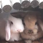 Profile Picture of Jacob (@jacob_somers786) on Instagram