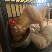 Profile Picture of Lee Aaron (@leeaaron2098) on Youtube