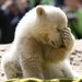 Profile Picture of Arnold Huang (@arnoldh167) on Pinterest