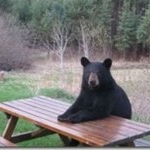 Profile Picture of Randall R Schmidt (@schmirk2) on Instagram