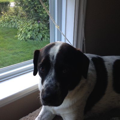 Sharon Marriott - Twitter Profile Picture of Sharon Marriott (@MommaMarriott) on Twitter