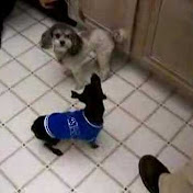 Profile Picture of Judywink (@judywink) on Youtube