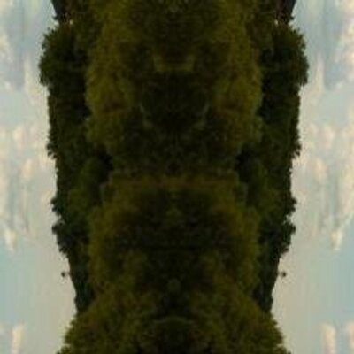 Profile Picture of Sinclair Castle (@CalvinGlyde) on Twitter