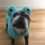 Profile Picture of Greg Barrow (@gregorbarrow) on Instagram