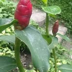 Profile Picture of James Tilord (@james.tilord) on Facebook