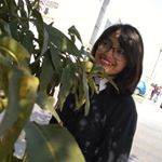 Profile Picture of Celeste Alcantara♡ (@tara.alcan16) on Instagram