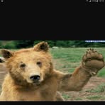 Gessica Santilli - Facebook Profile Picture of Gessica Santilli (@gessica.santilli.90) on Facebook