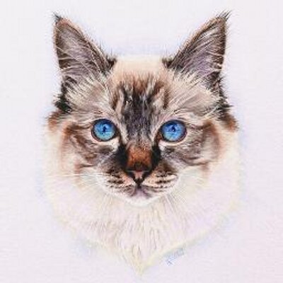 Profile Picture of Julia Esther Bernard (@ebpetportraits) on Twitter