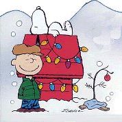 Profile Picture of Charles Schultz (@cschultz314) on Pinterest