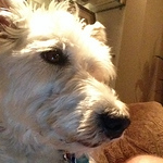 Profile Picture of Danny Richardson (@danny-richardson@att.net) on Flickr